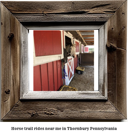 horse trail rides near me in Thornbury, Pennsylvania